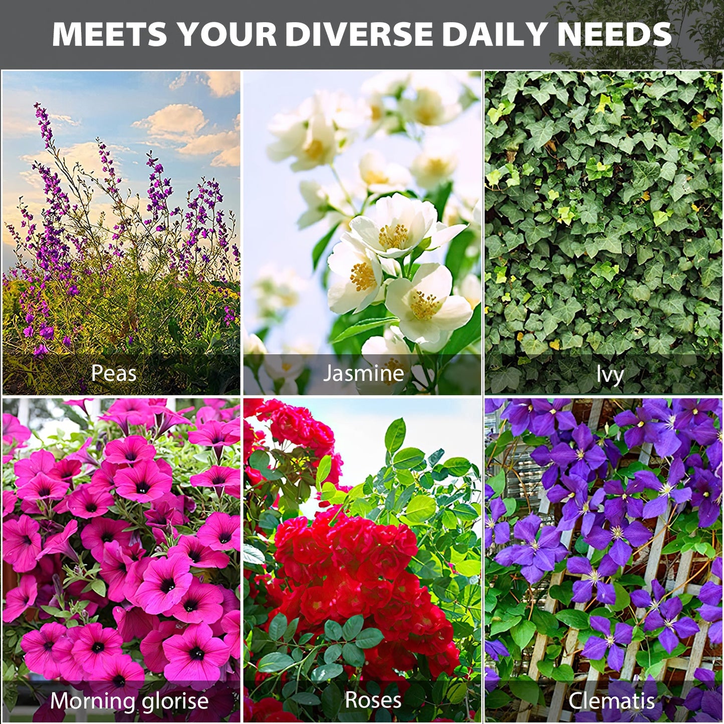 Treillis métallique robuste en fer noir antirouille pour plantes (lot de 2), 70,9 po H x 19,7 po L