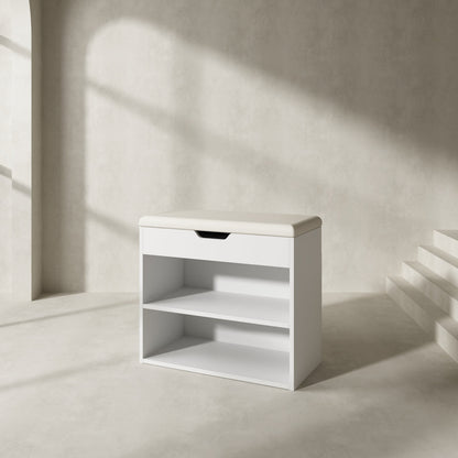 Banc de rangement pour chaussures, étagère à chaussures rembourrée avec 2 compartiments