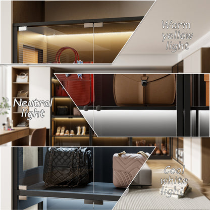 Vitrine noire à 2 portes en verre trempé pour chaussures et sacs