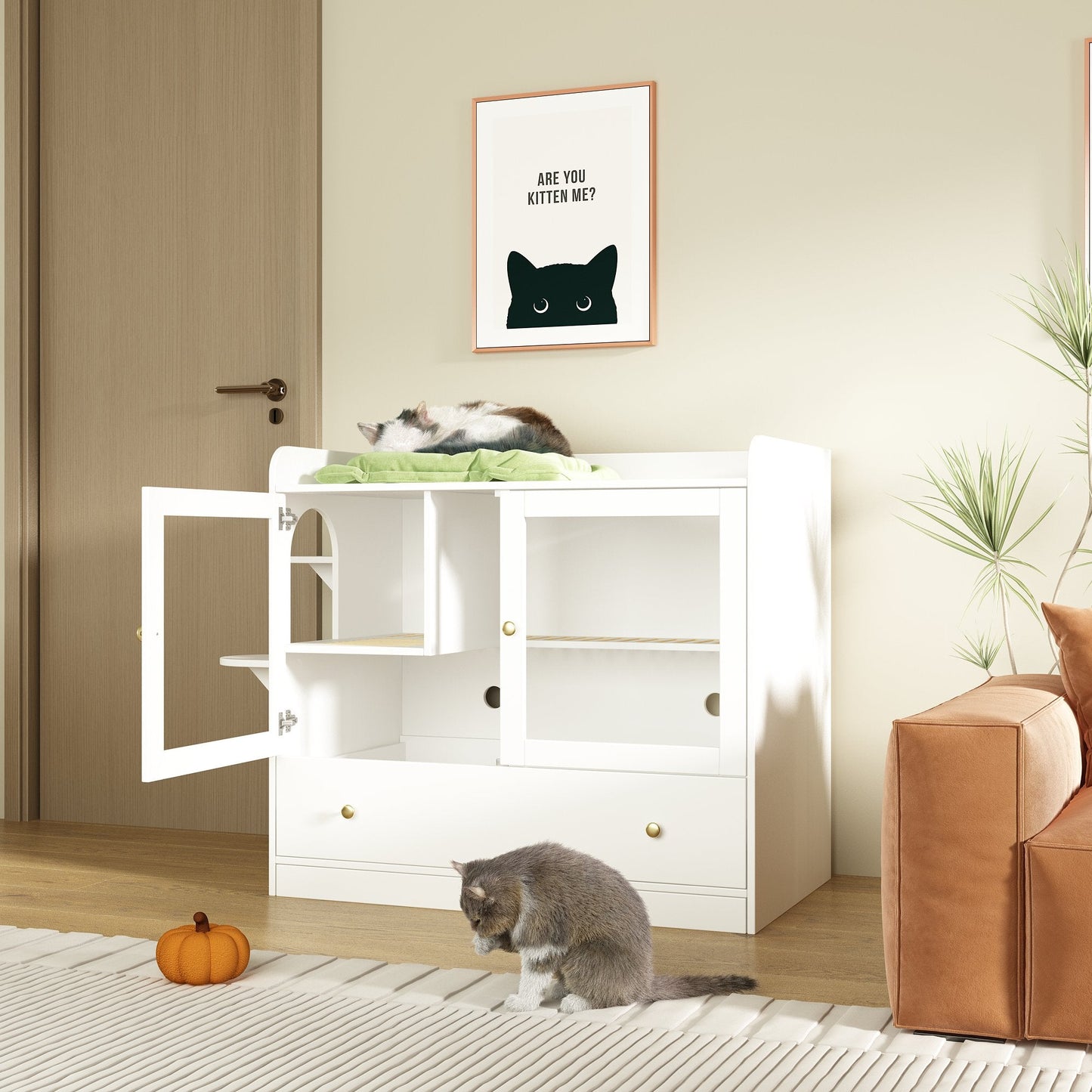 Enclos en bois pour bac à litière Enclos en bois pour bac à litière