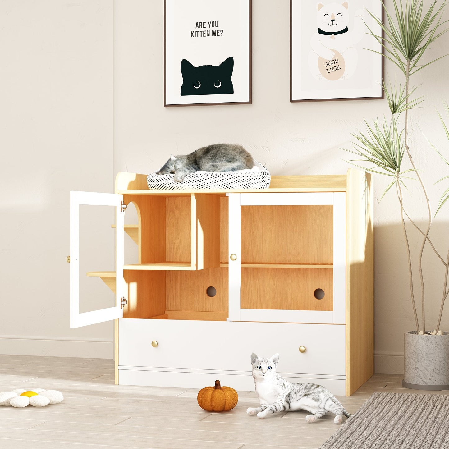 Enclos en bois pour bac à litière Enclos en bois pour bac à litière