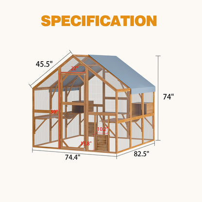 Grand enclos extérieur en bois pour chats, comprenant des niches, des ponts et des allées.