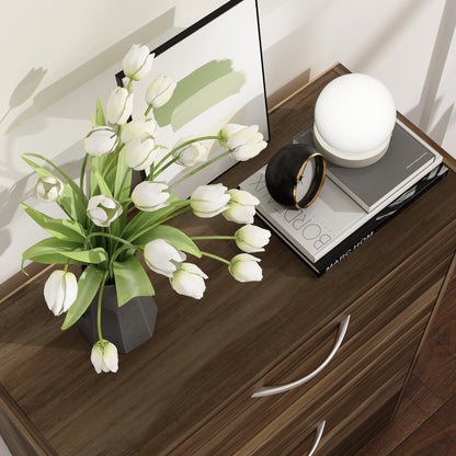 Meuble à chaussures à 2 tiroirs rabattables, meuble de rangement à chaussures à 2 niveaux pour entrée 