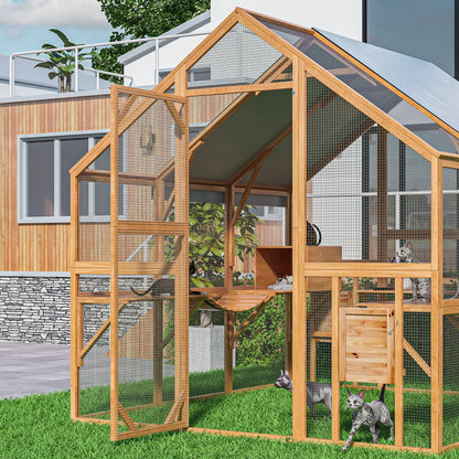 Grand enclos extérieur en bois pour chats, comprenant des niches, des ponts et des allées.