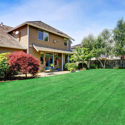 Panneaux de gazon artificiel 120 x 79,2