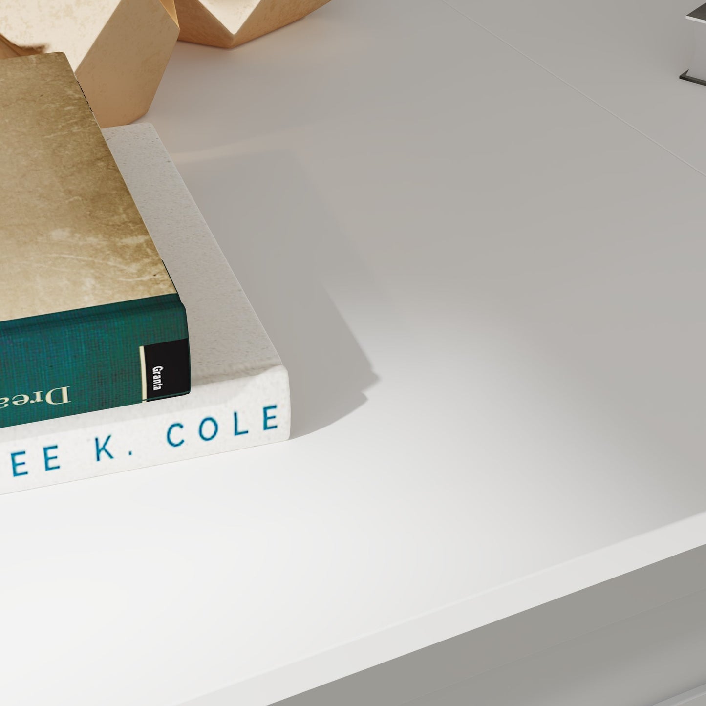 Grande cage en bois pour chien avec 2 tiroirs et séparateurs