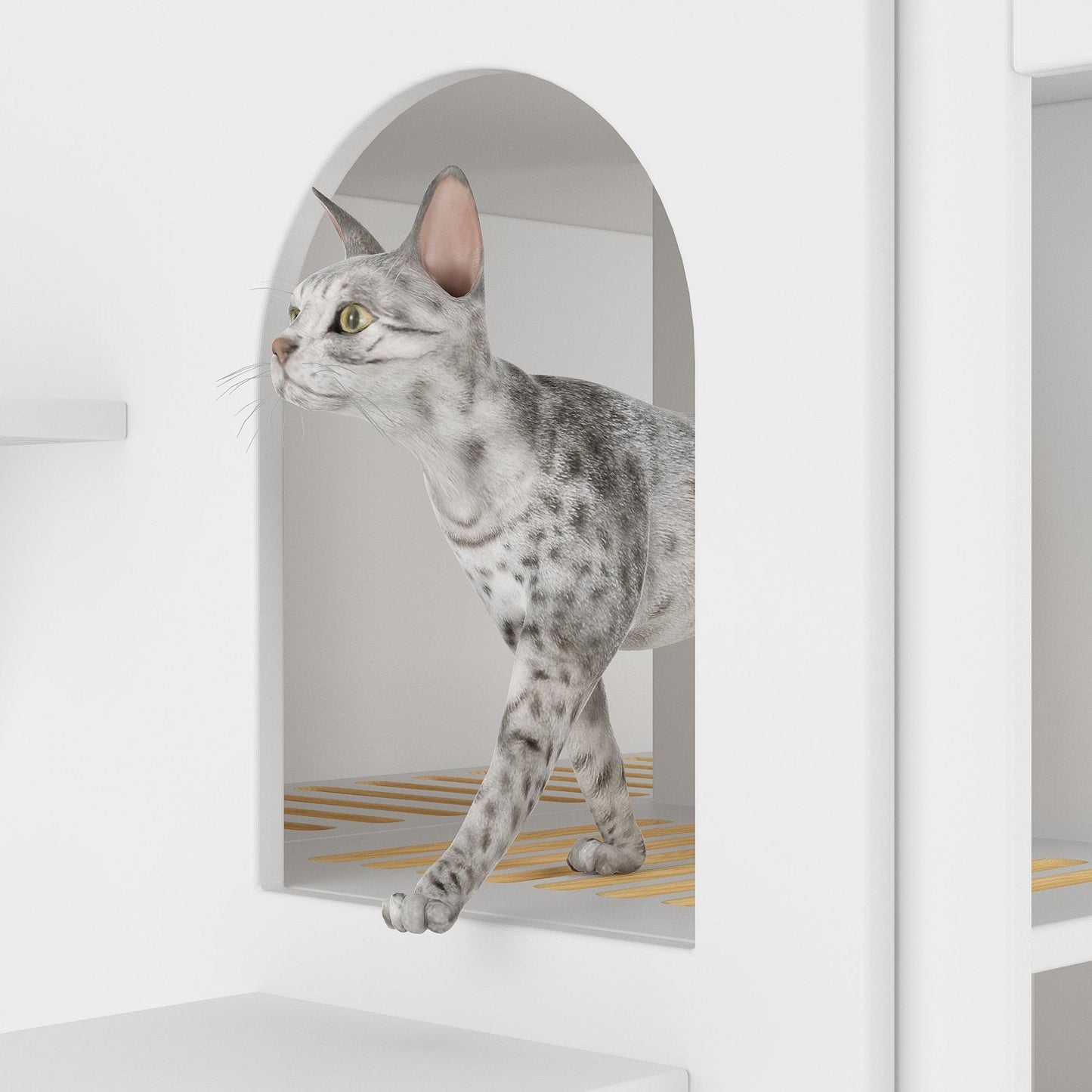 Enclos en bois pour bac à litière Enclos en bois pour bac à litière