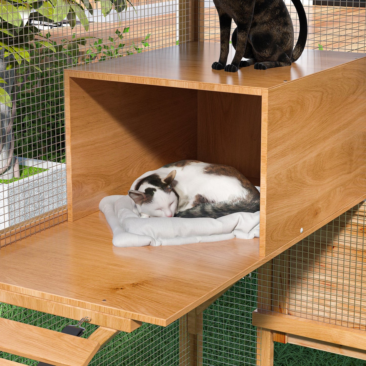 Grand enclos extérieur en bois pour chats, comprenant des niches, des ponts et des allées.
