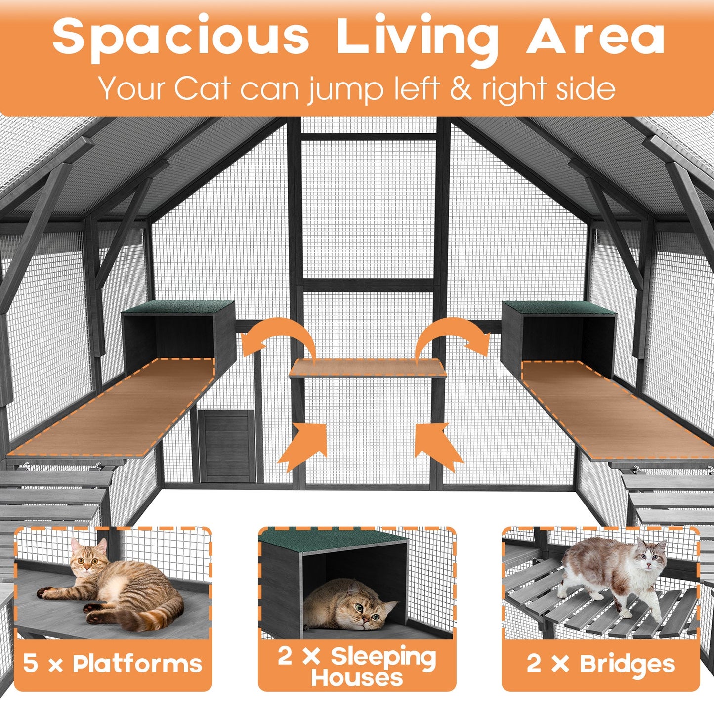 Grand enclos extérieur en bois pour chats, comprenant des niches, des ponts et des allées.