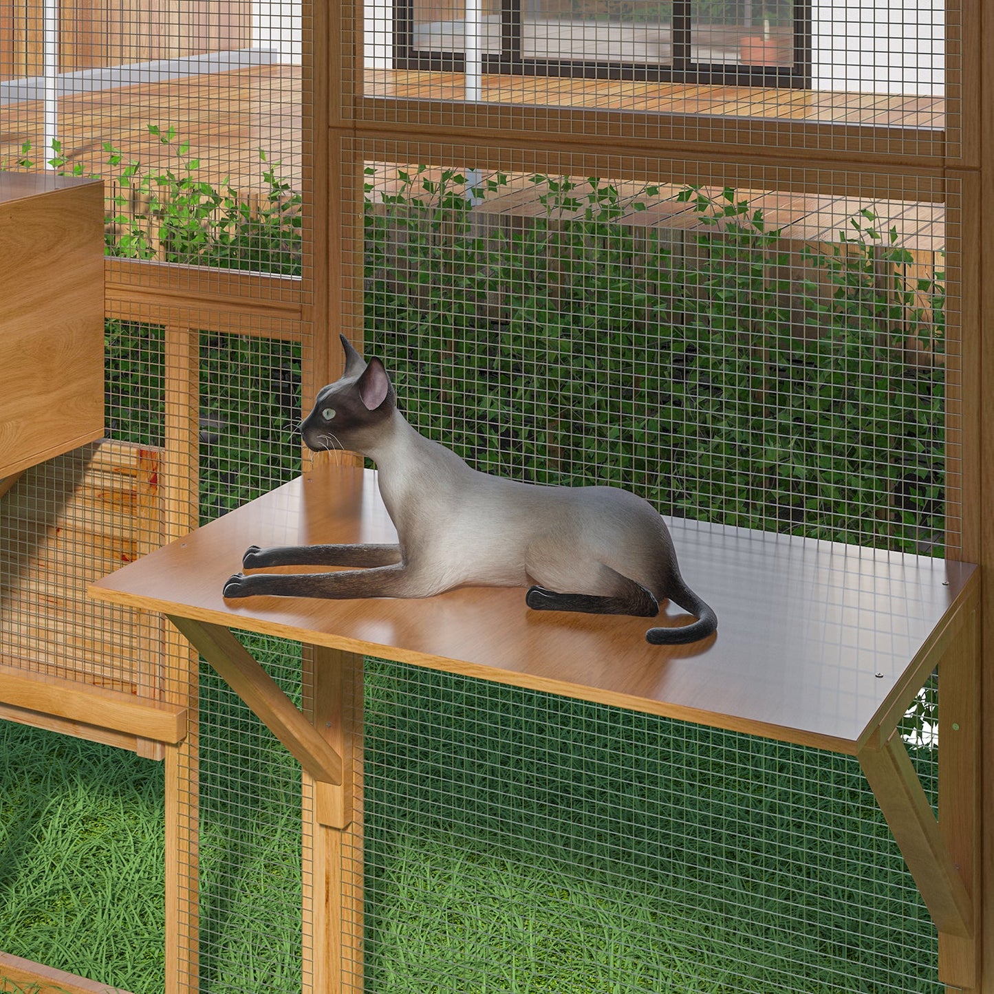 Grand enclos extérieur en bois pour chats, comprenant des niches, des ponts et des allées.