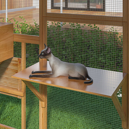 Grand enclos extérieur en bois pour chats, comprenant des niches, des ponts et des allées.