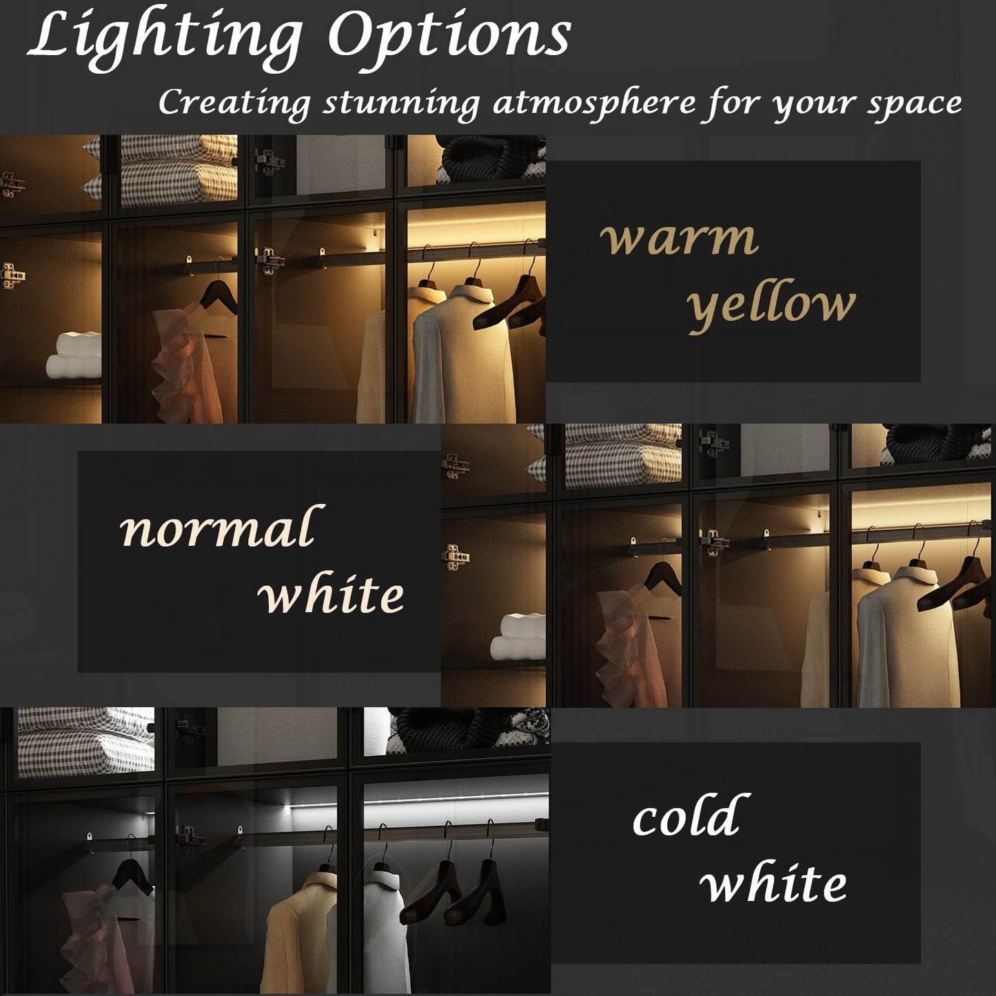 Armoire noire élégante avec éclairage LED et portes en verre trempé