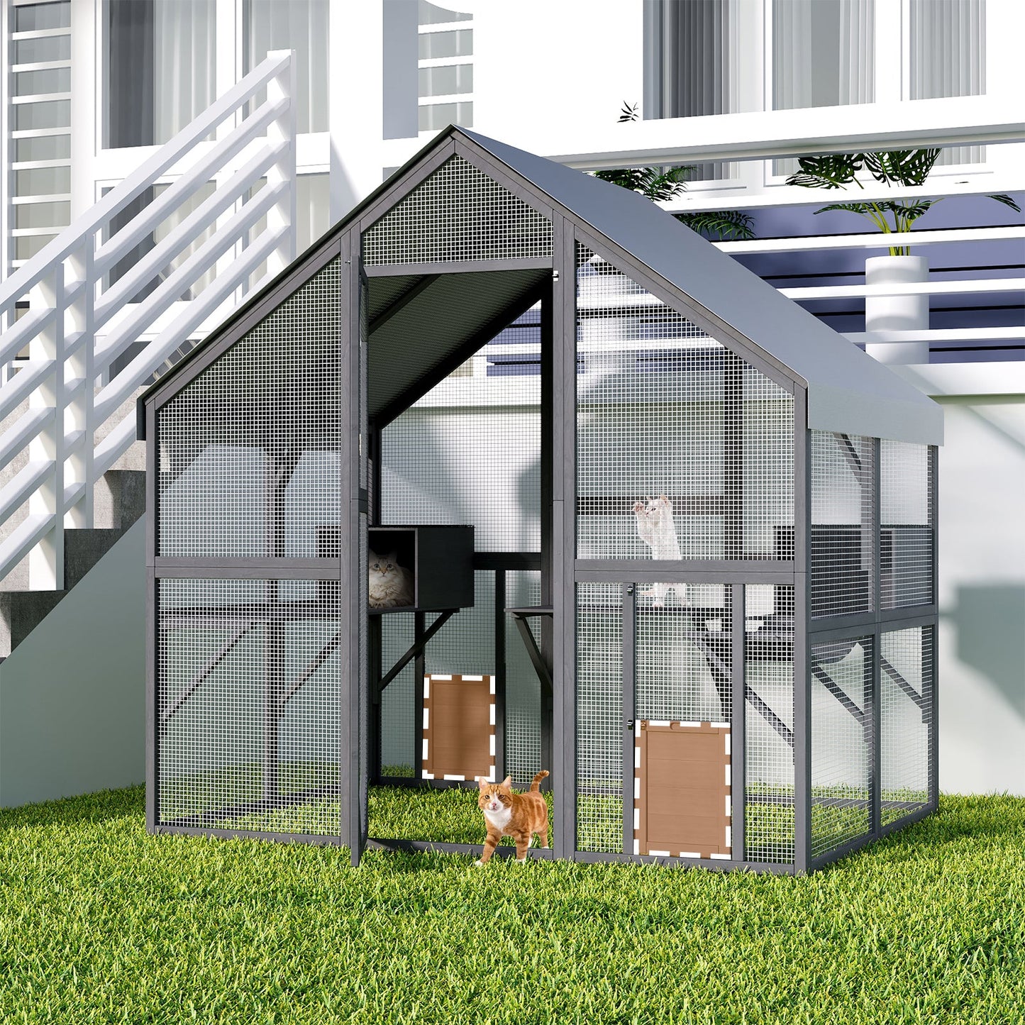 Grand enclos extérieur en bois pour chats, comprenant des niches, des ponts et des allées.